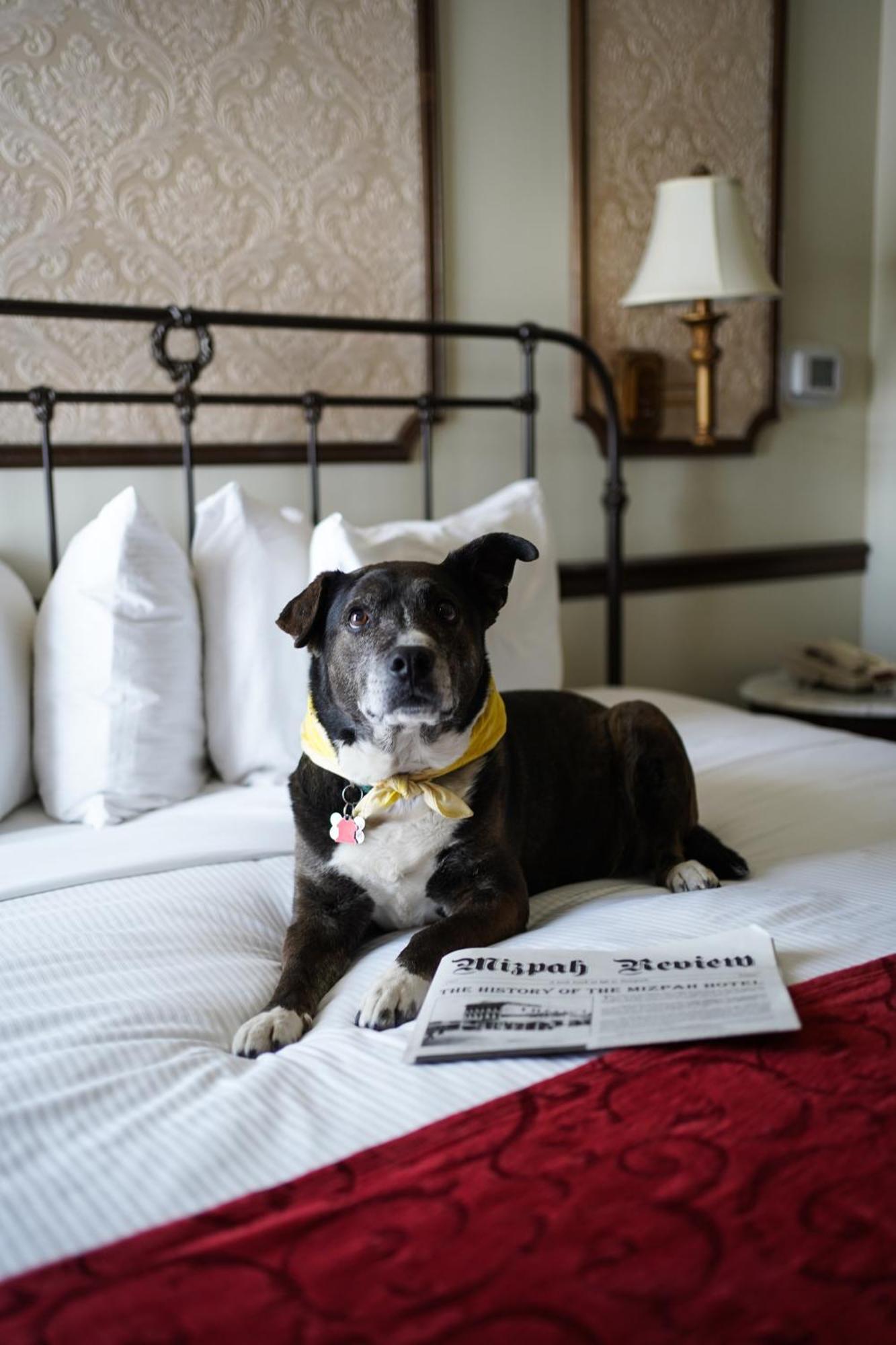 Mizpah Hotel تونوباه المظهر الخارجي الصورة